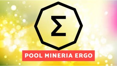 pool mineria ergo