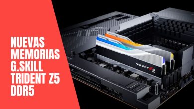 kit memroia ram ddr5 intel alder lake