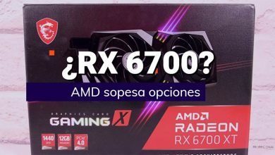 rx 6000