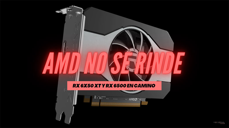 RX 6500: posible llegada en mayo y una RX 6550 XT para julio