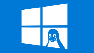 Usar Linux en Windows 11 con WSL2