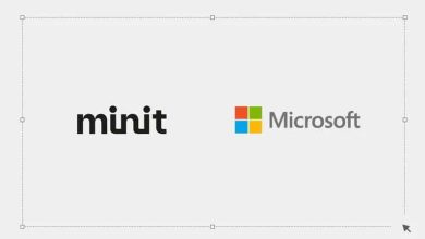 Microsoft Minit