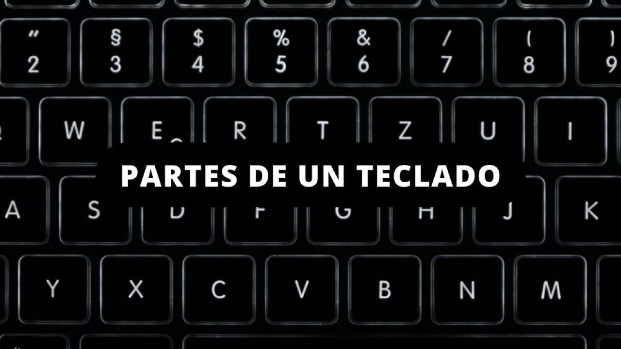 práctica Voluntario retorta Partes de un teclado: todas las piezas y funciones que debes conocer