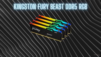 Kingston FURY Beast DDR5 RGB