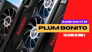 amd plum bonito