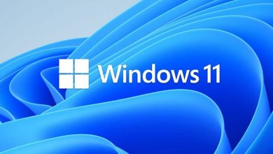 Windows 11
