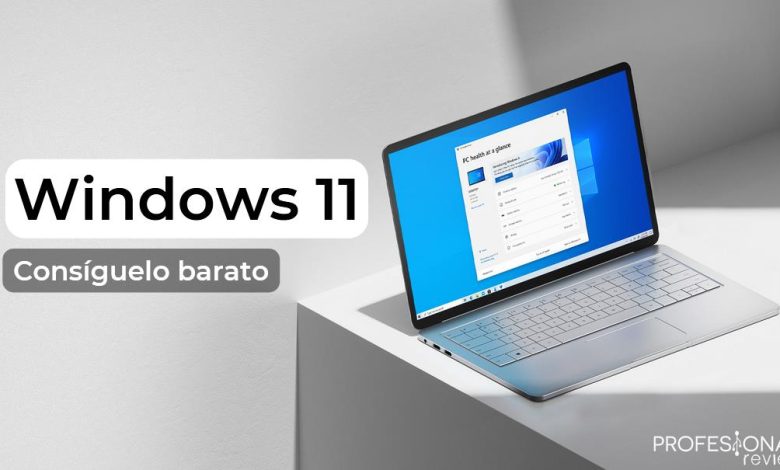 Windows 11 precio