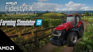 FSR 2.1