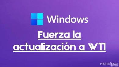 Cómo forzar actualización Windows 11