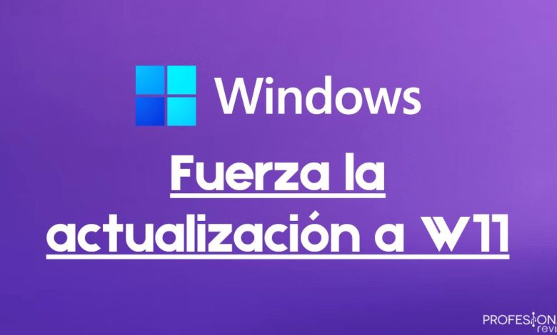 Cómo forzar actualización Windows 11