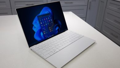 Forzar actualización Windows 11