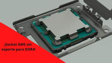 am5 soporte DDR4