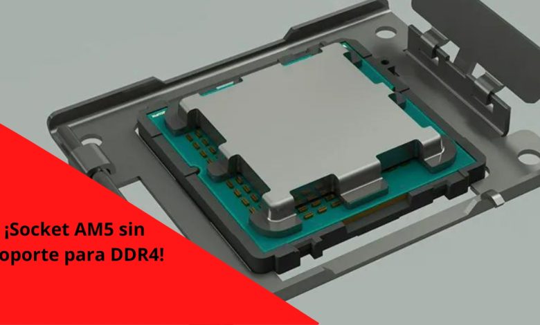 am5 soporte DDR4