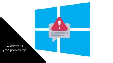 windows 11
