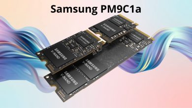 Samsung PM9C1a