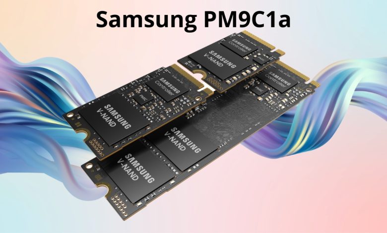 Samsung PM9C1a