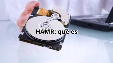HAMR