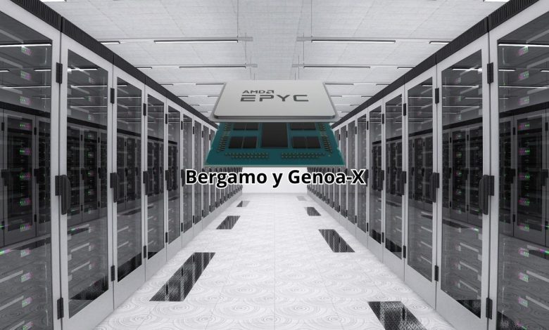 AMD EPYC Bergamo y Genoa-X