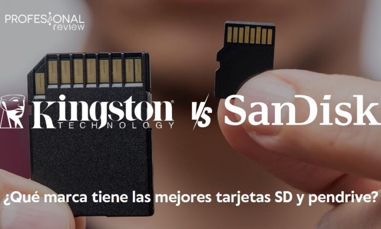 Kingston o SanDisk
