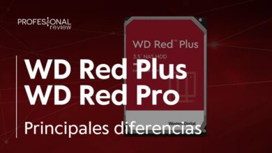 WD Red Plus vs WD Red Pro