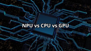 npu vs cpu vs gpu