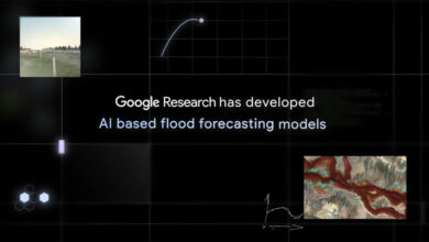 google ia desastres naturales