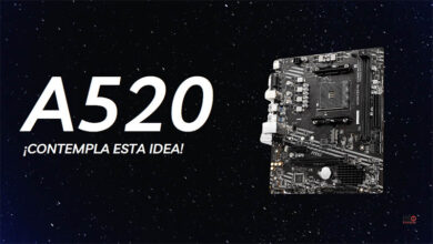 procesadores compatibles a520m