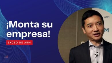 arm china risc-v