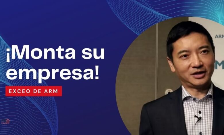 arm china risc-v