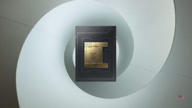 intel xeon 6