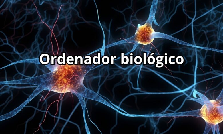 ordenador biológico