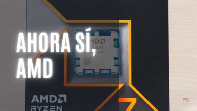 bug windows ryzen