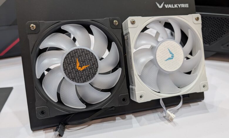 Valkyrie B12