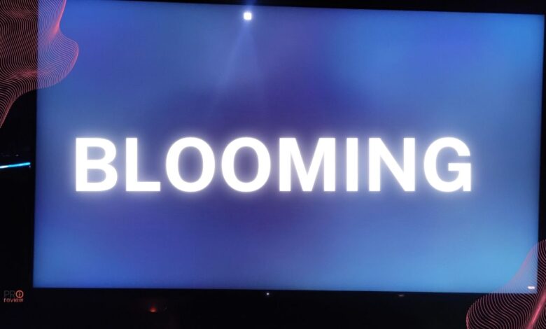 que es el blooming