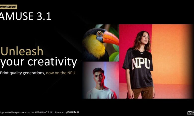 amuse 3.1