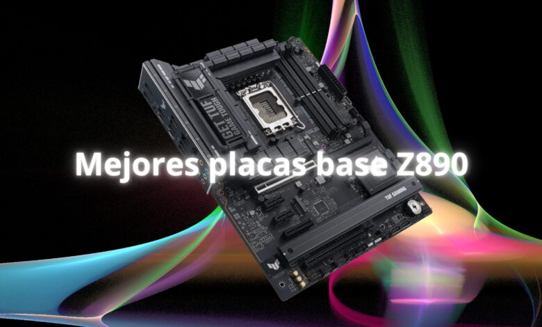 Placas base z890