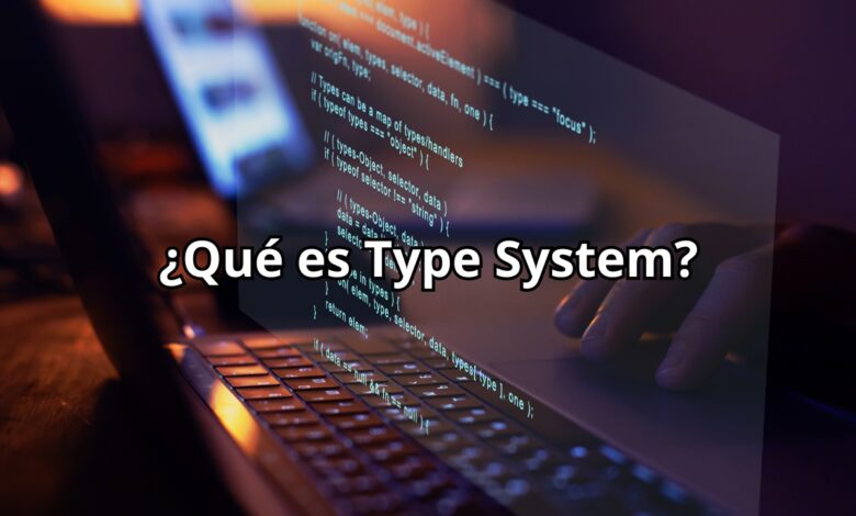 type system