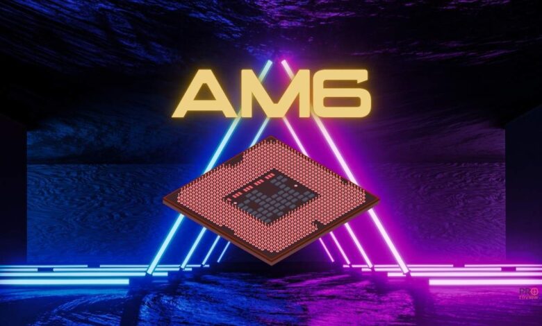 amd am6