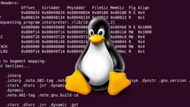 ELF Linux formato