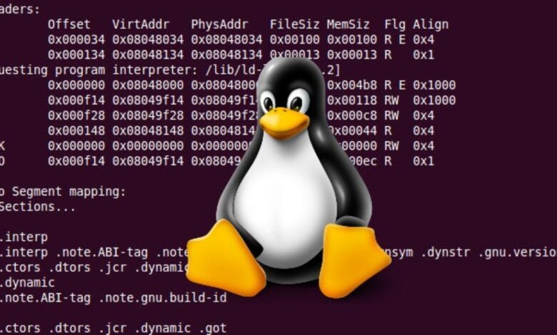ELF Linux formato