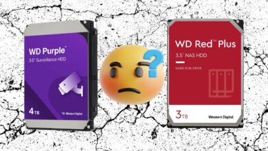wd red vs purple
