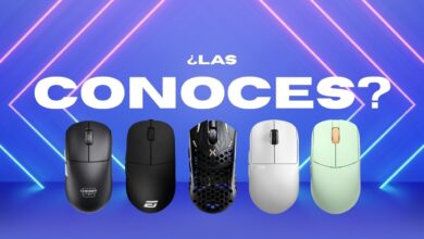 marcas de ratones