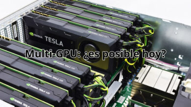 multi-gpu