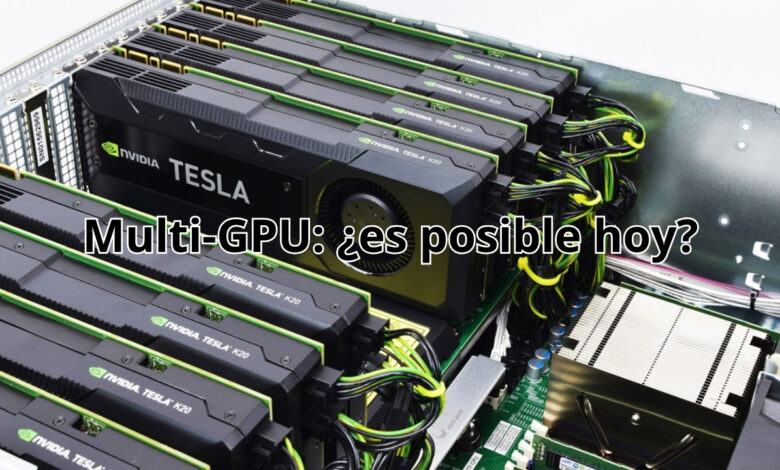 multi-gpu