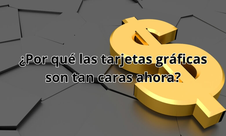 precio alto de las tarjetas gráficas