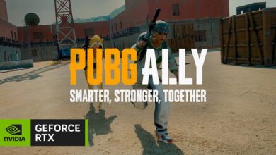 PUBG Ally