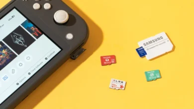 Nintendo Switch 2 microSD