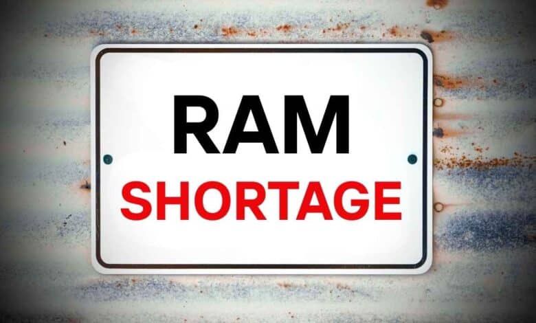 crisis memoria ram