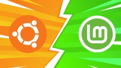 Ubuntu vs Linux Mint