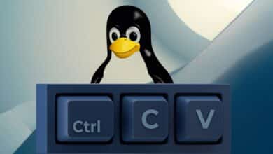 gestor de portapapeles linux, klipper